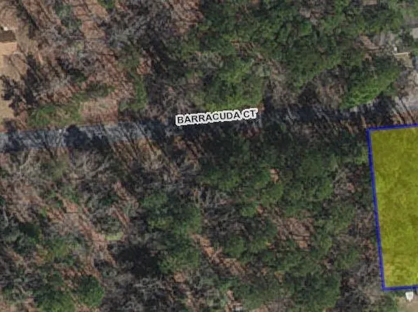 LOT 99 Barracuda Ct, Greenbackville, VA 23356