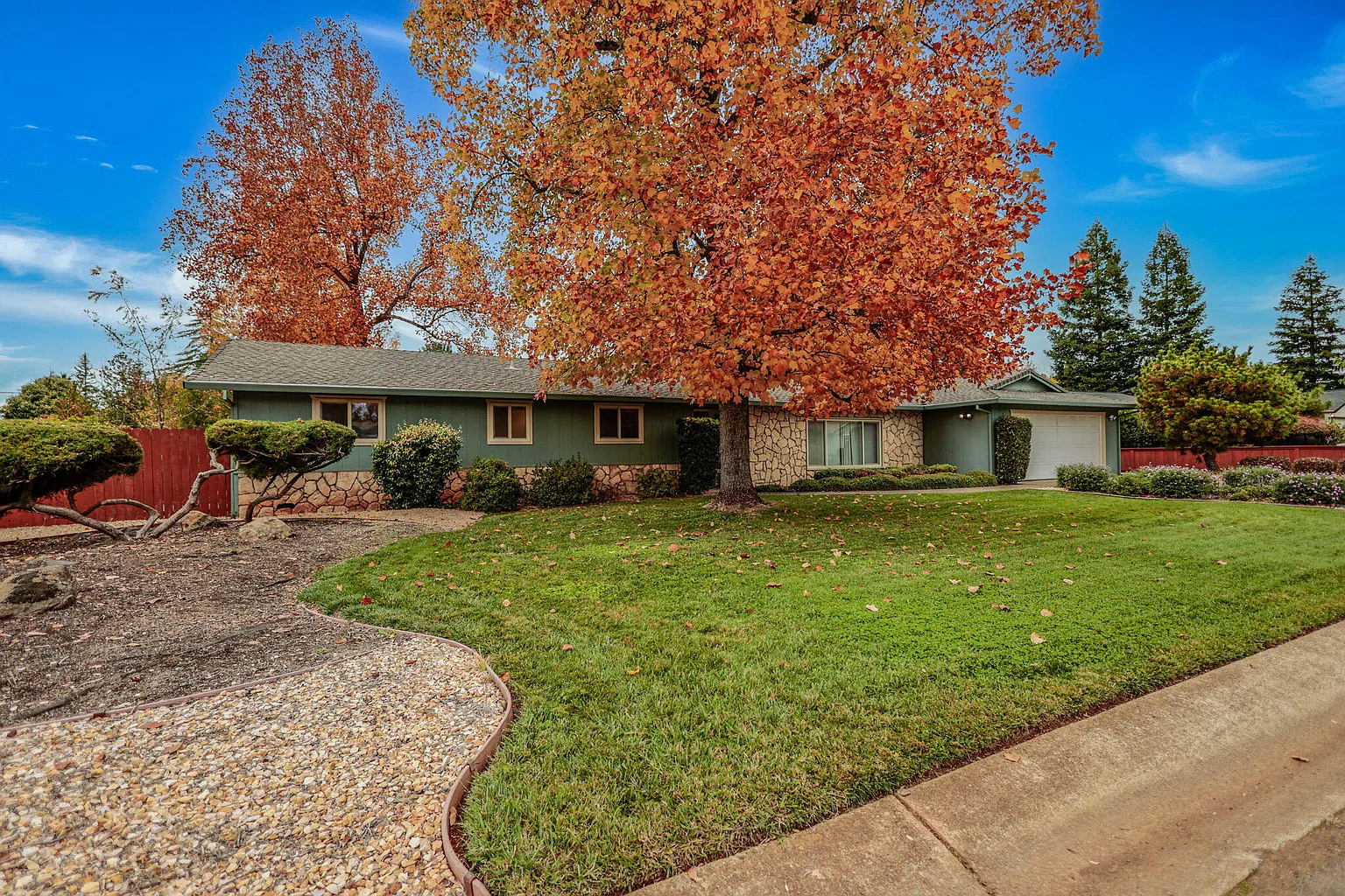 3728 Victoire Way photo 1