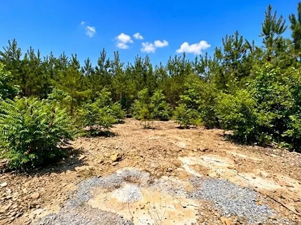 68 Southern Spruce Trl, Broken Bow, OK 74728