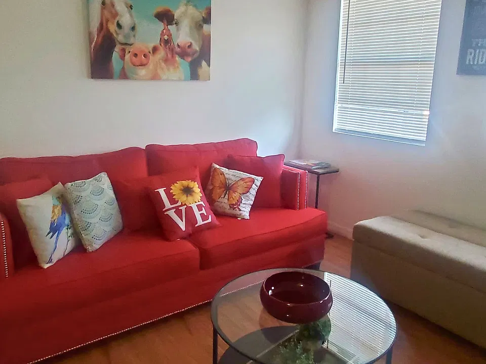 Spacious, sunlit living room with modern style and cozy seating.