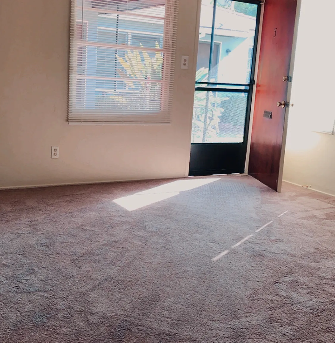 1 bed, 750 sqft, $1,900 — Photo 3