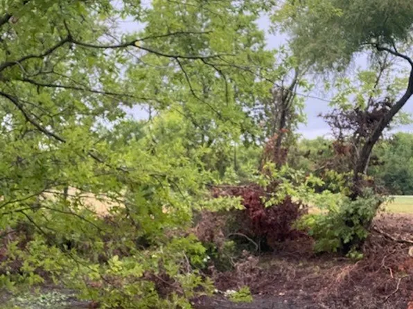 1231 County Road 4130, Bonham, TX 75418