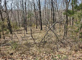 L-2-B Flathead Dr #11, Cherokee Village, AR 72529