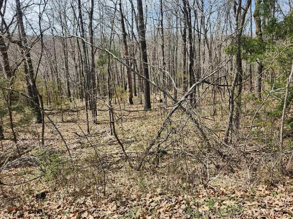 L-2-B Flathead Dr #11, Cherokee Village, AR 72529