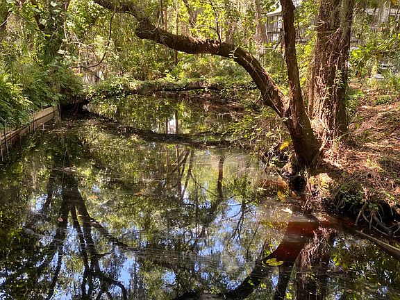 Creek next to house.