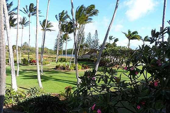 Garden views. 