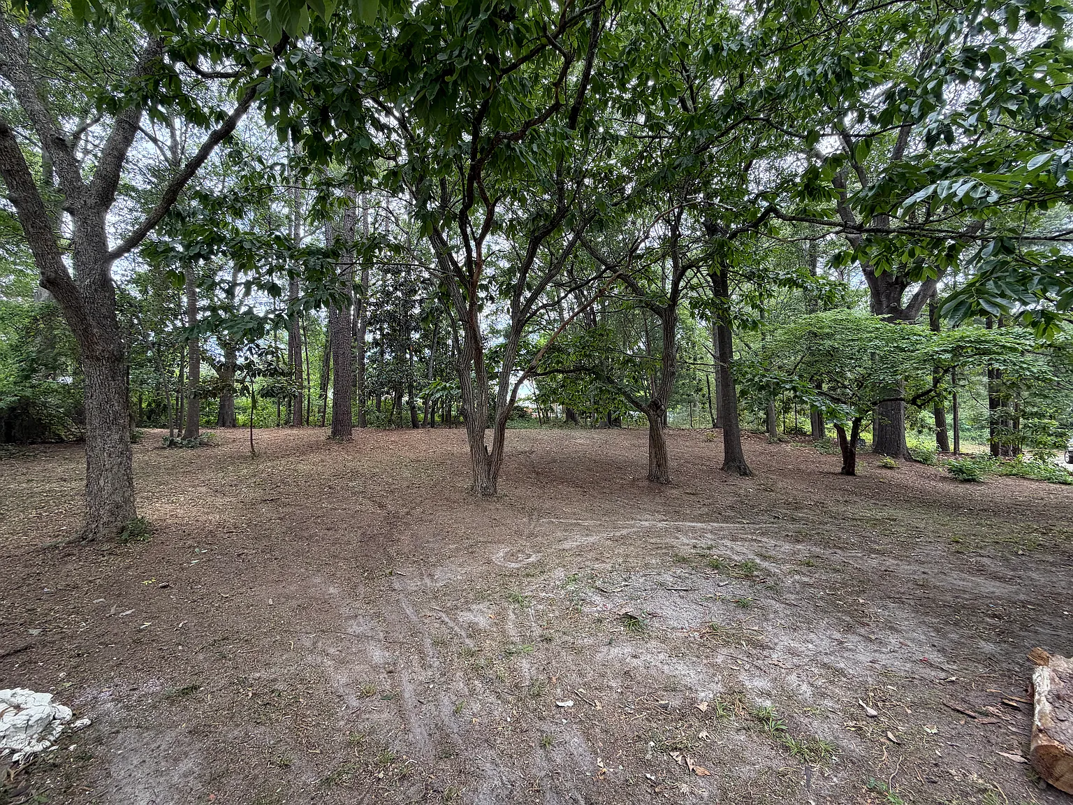 2 bed, 800 sqft, $1,200 — Photo 4