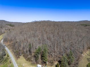 6401 Big Hurricane Creek Rd, Fort Gay, WV 25514