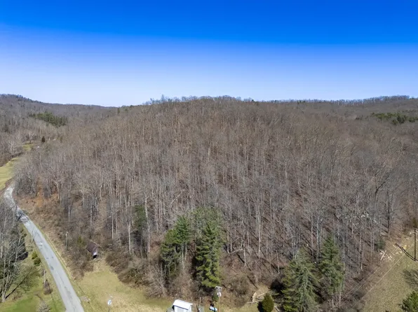 6401 Big Hurricane Creek Rd, Fort Gay, WV 25514