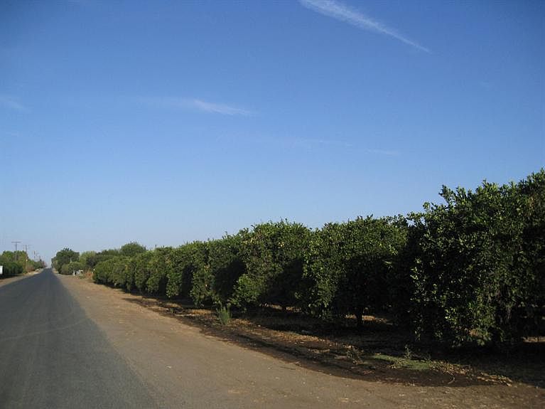 2nd image of 0 Road 240