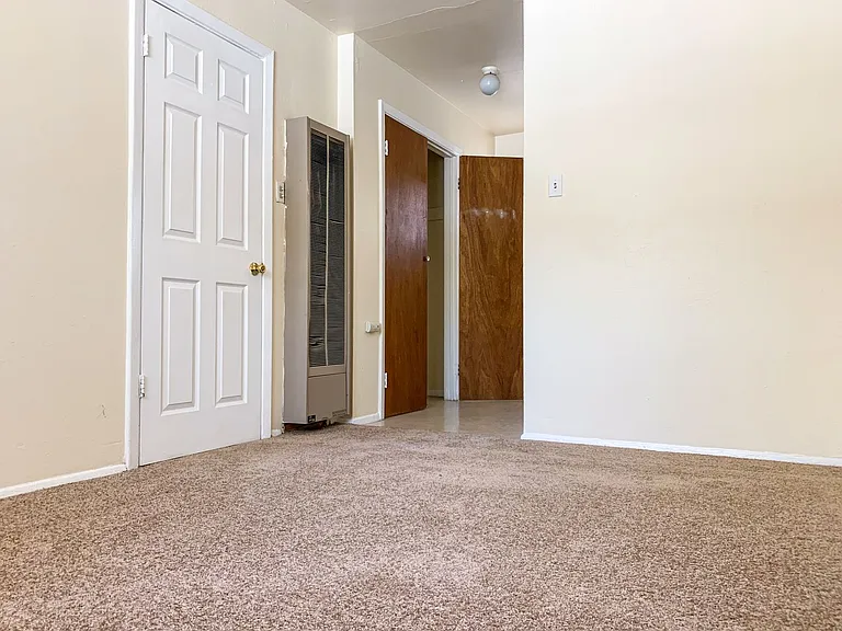 One Bedrooms near VA Hospital — Photo 19