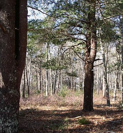 3rd image of 0 Waquoit Landing