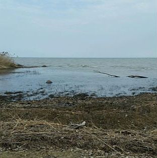 1st image of Lakeshore Road South