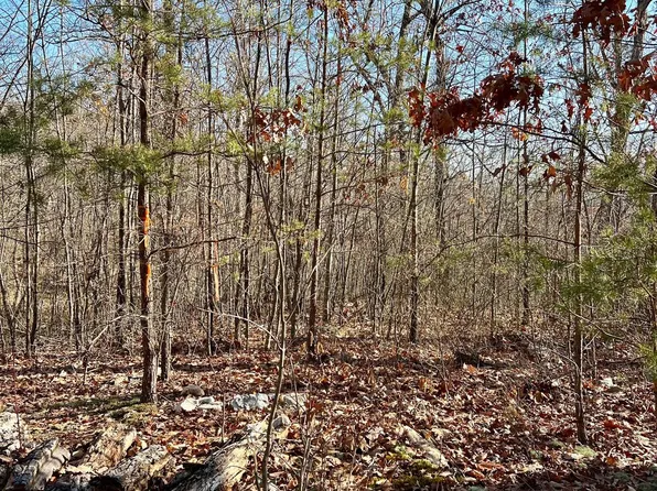 53 Miracle Springs Rd, Elkton, VA 22827