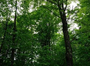 5040 Midway Ln, Laona, WI 54541