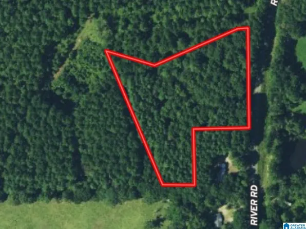 60 River Rd #32-08-007.0000, Ariton, AL 36311