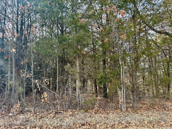 638 E Pine Bluff Street, Fair Grove, MO 65648