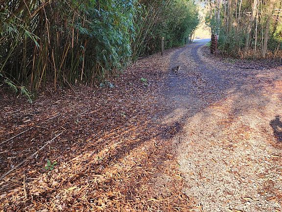 3rd image of 45059 TAYLOR Road