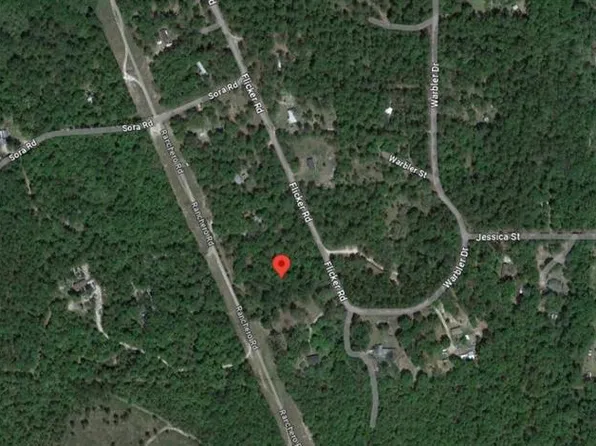 8854 Flicker Rd #80, Tallahassee, FL 32305