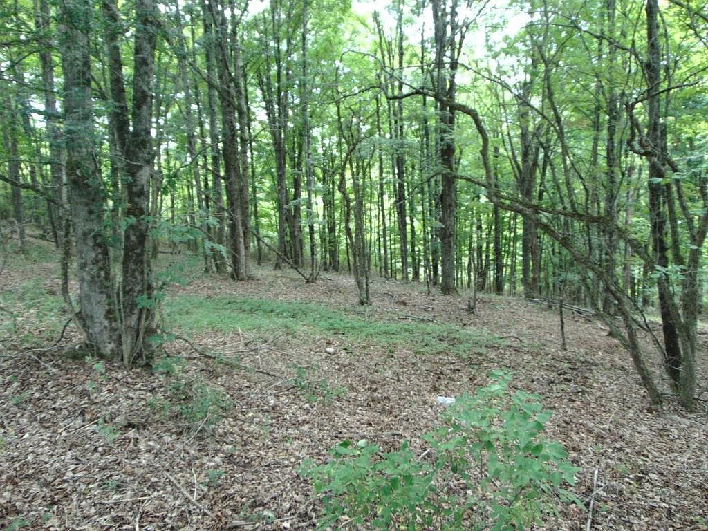 875 Shaver Hill Rd, Deposit, NY 13754 Zillow