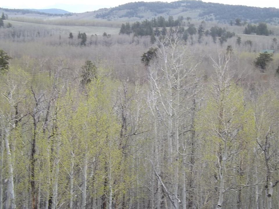 1st image of 666 PALMER PEAK Drive