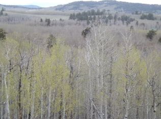 666 Palmer Peak Dr, Fairplay, CO 80440