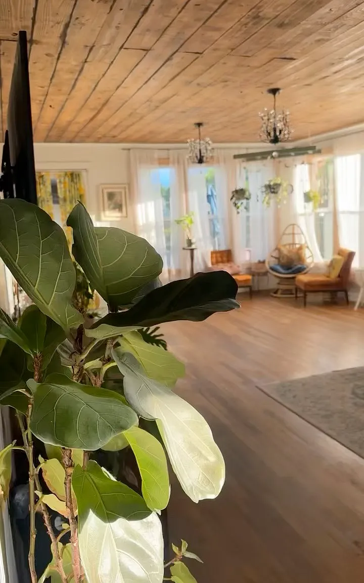 2 bed, 1200 sqft, $975 — Photo 3
