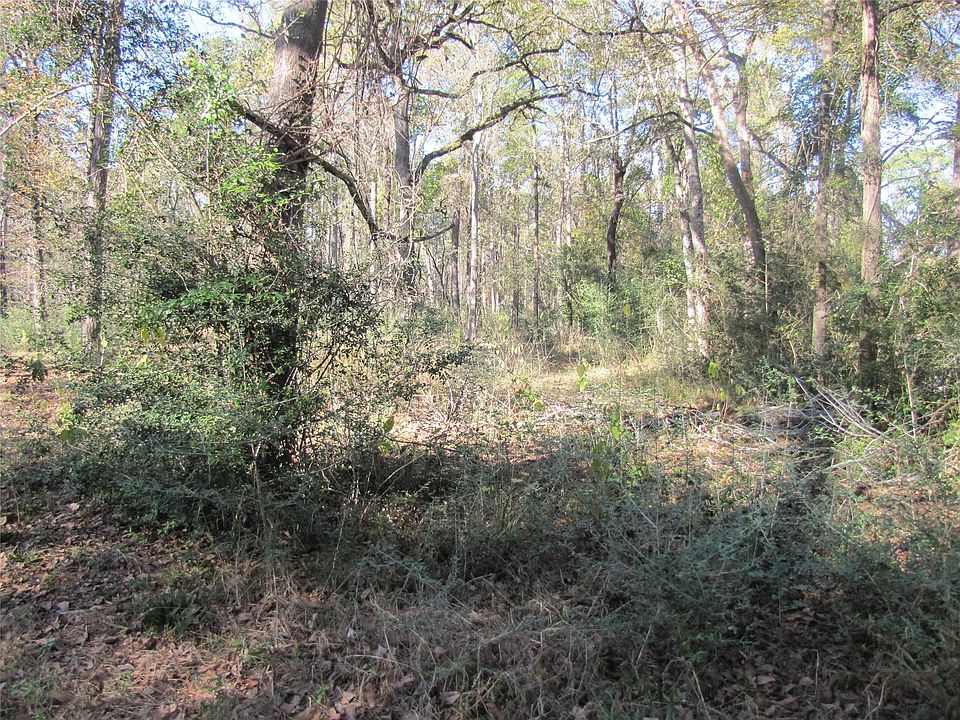 2nd image of 32602 Dogwood Trl