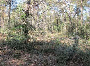 32602 Dogwood Trl, Magnolia, TX 77355