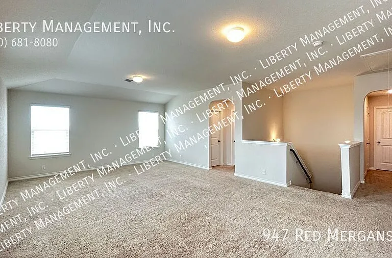 947 Red Merganser — Photo 15