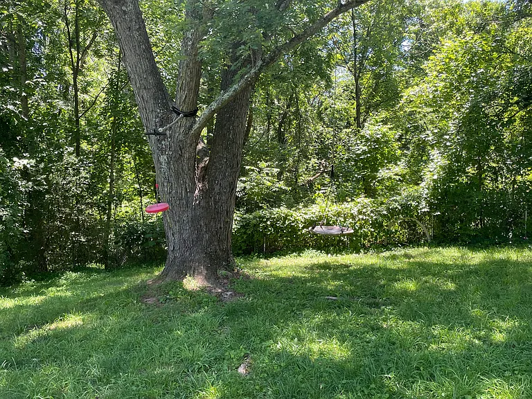 Jonestown Rd — Photo 14