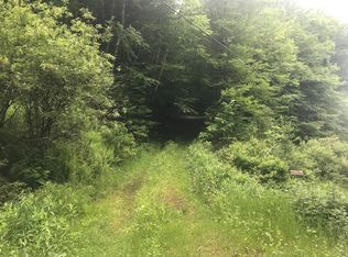 514 Deer Run Rd, Hancock, NY 13783