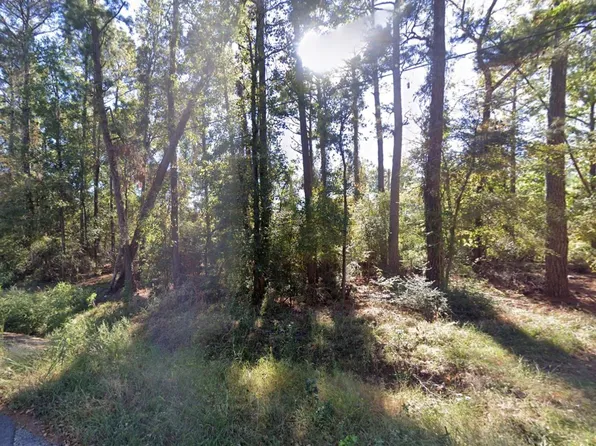 Parkview Dr, Onalaska, TX 77360