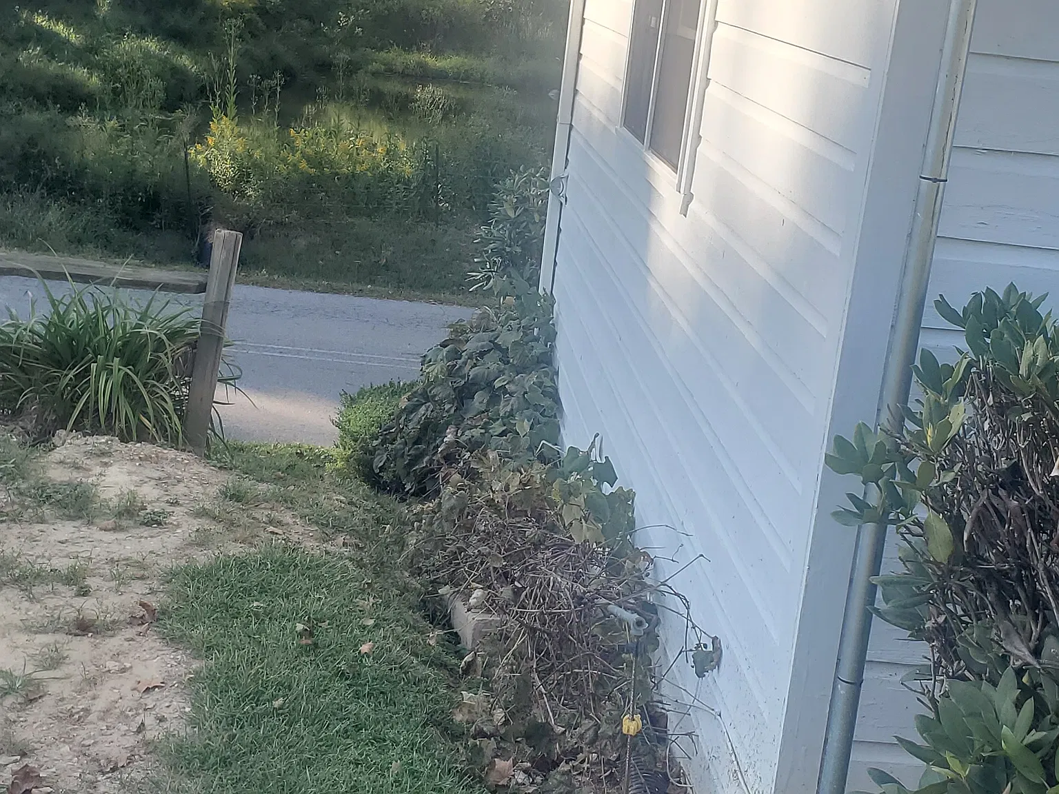 1 bed, $1,000 — Photo 3