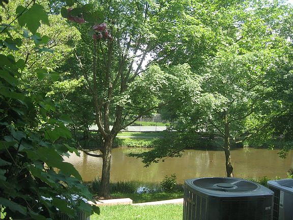 2nd image of 2842 Yarling Ct
