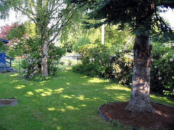 front yard
