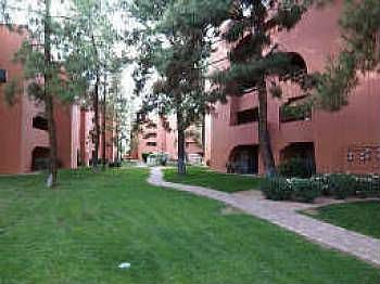 1st image of 12222 N Paradise Village Pkwy E APT 430