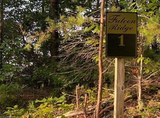 LOT 1 Falcon Ridge Dr LOT 1, Moravian Falls, NC 28654