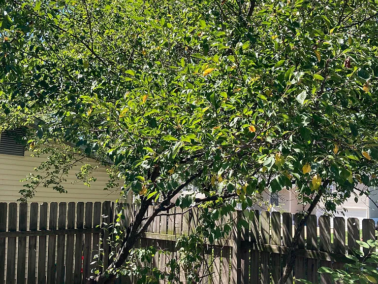 9 Jane Dr — Photo 19