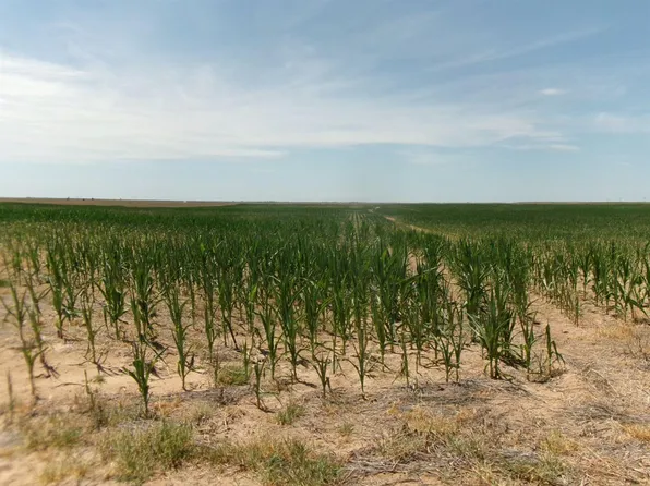 0 Highway 51, Liberal, KS 67901