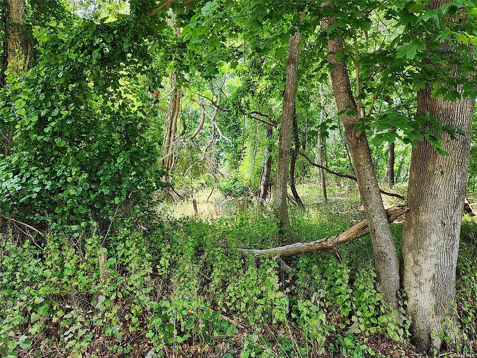 2nd image of 1735 Millstone Rd