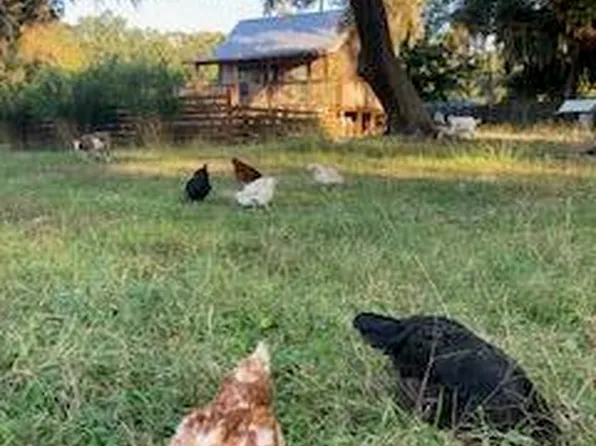 1661 Lonnie Taylor Ln, Wadmalaw Island, SC 29487