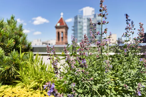 Sold by Compass | media 13