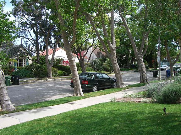 View of Ridgeley Drive from front door