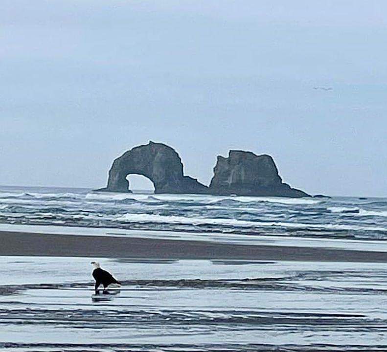 Twin Rocks