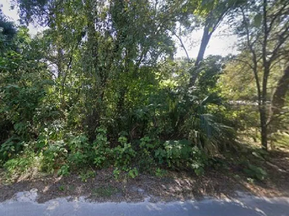 NE 167th Pl Lot 32, Citra, FL 32113