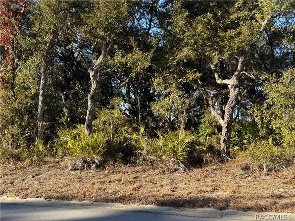 7023 W Merrivale Ln, Homosassa, FL 34446