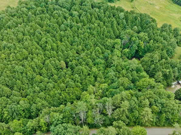 2170 Bradley Creek Rd, Johnson City, NY 13790