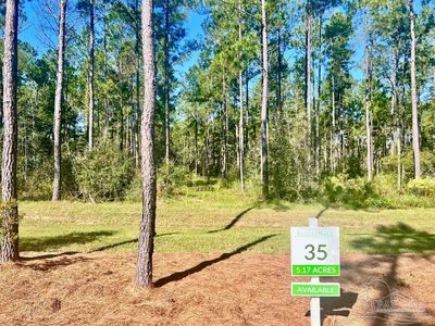 35 Naturewalk Dr N, Milton, FL, 32571