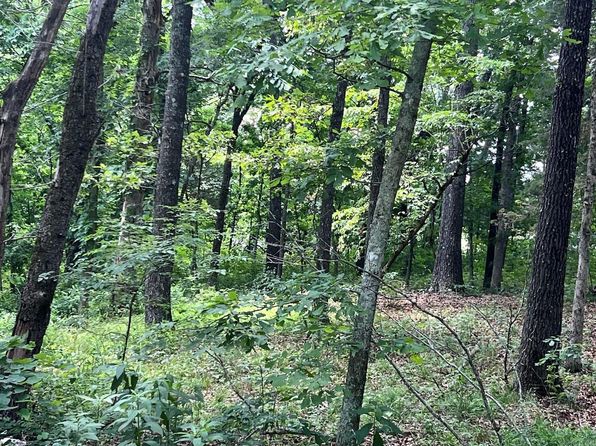 3238 Old Sturkie Rd, Salem, AR 72576